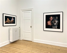 Ny grafikudstilling i Galerie Wolfsen d. 6. juni 2025